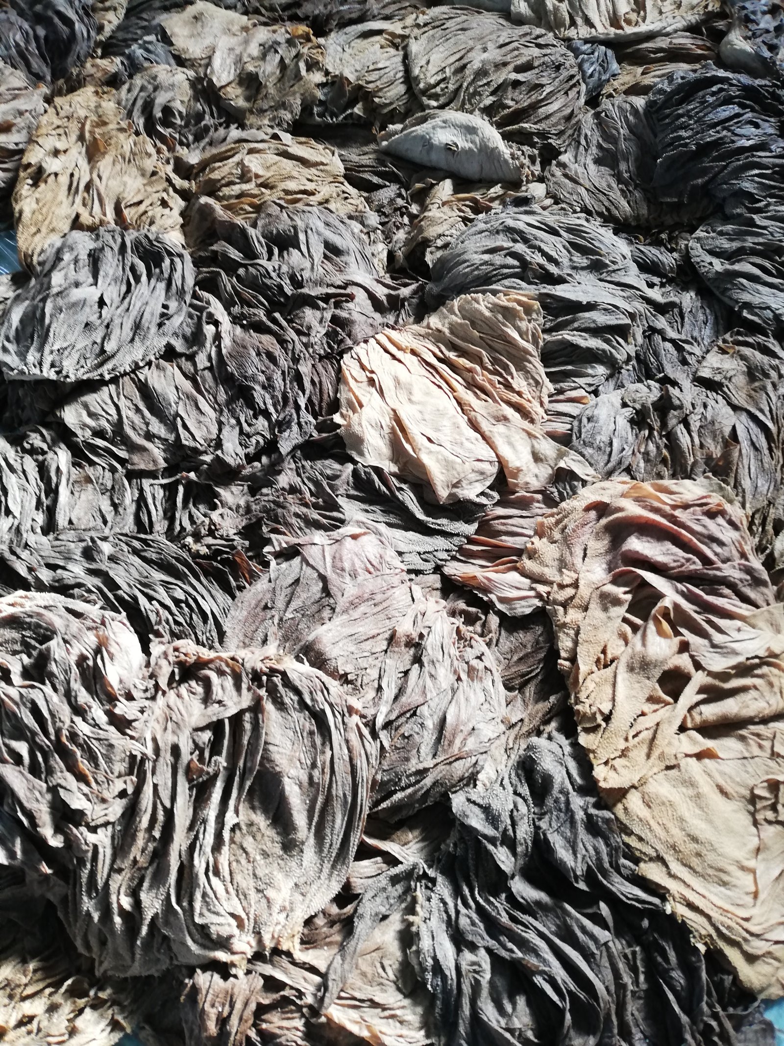 We are a leading export company of high quality OMASUM from Uzbekistan & Kazakhstan