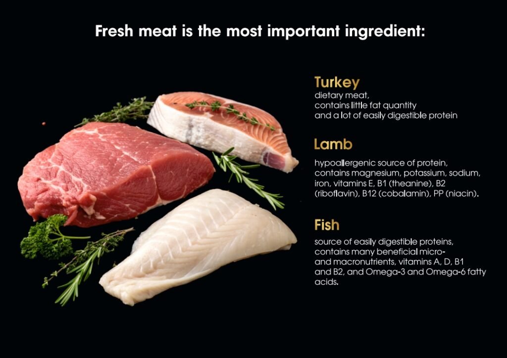 каталог АНГЛ WOOF PET_sz_251007_150854_4